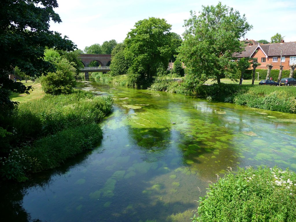 Leatherhead , River Mole