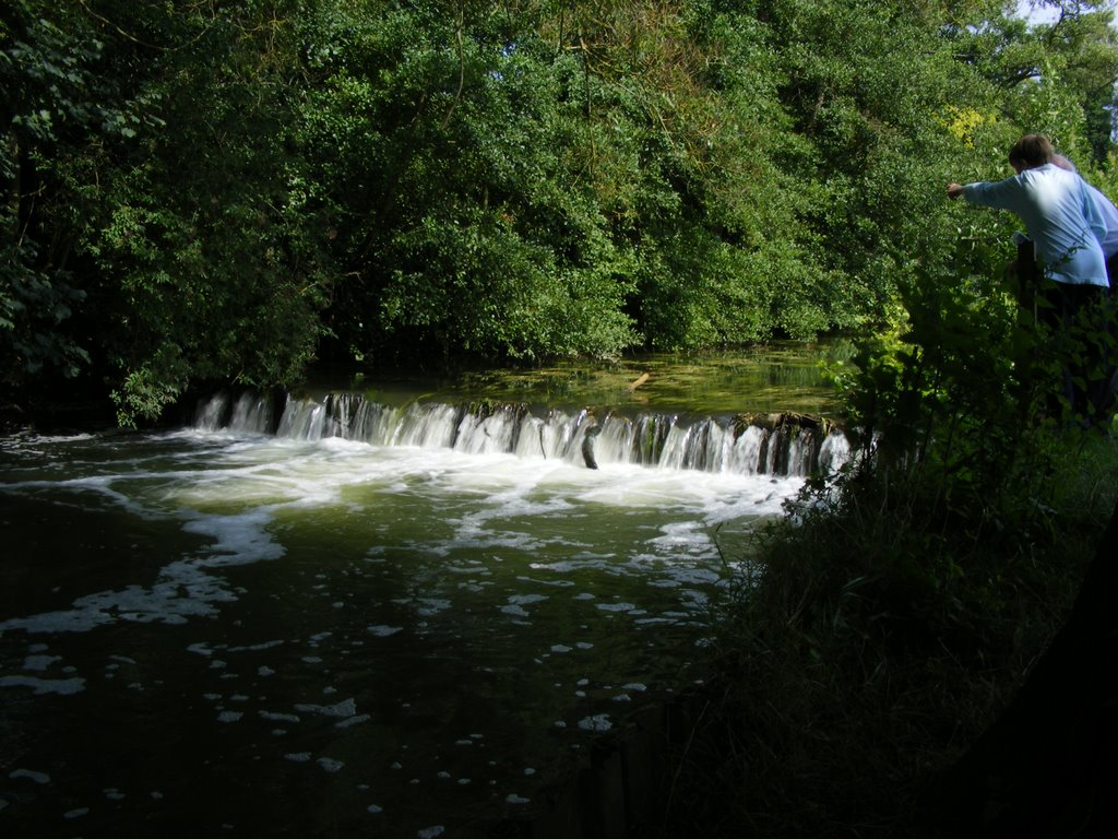 River Mole