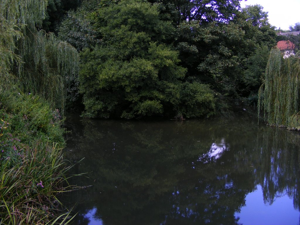 River Mole