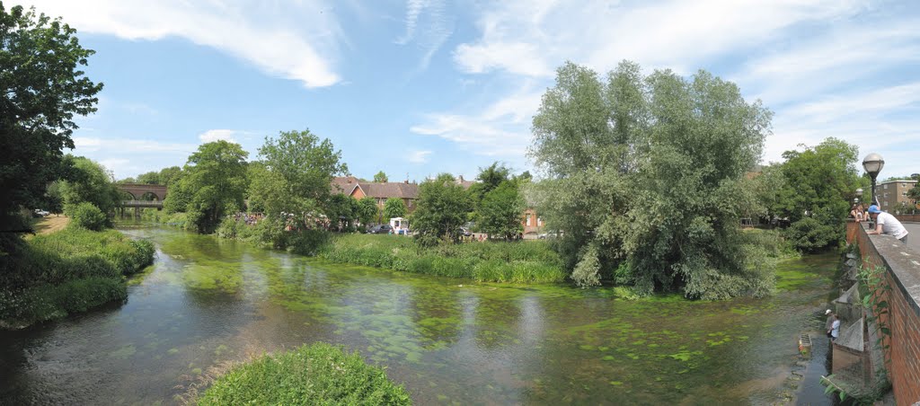 The River Mole at Leatherhead