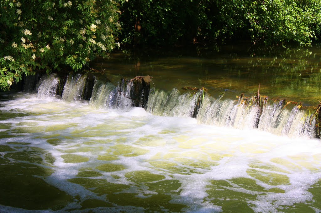 River Mole