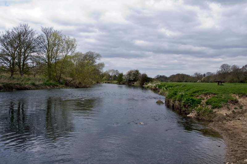 River Mole at Leatherhead