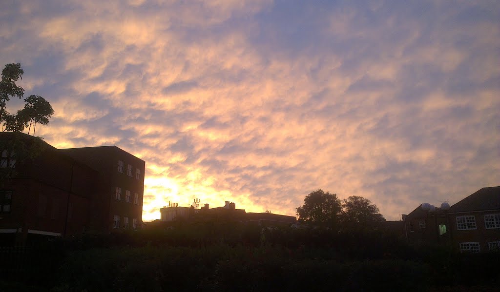 Leatherhead, UK