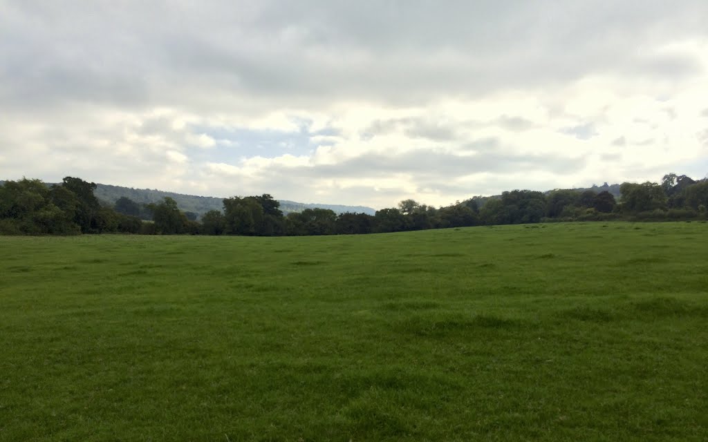 Norbury Park