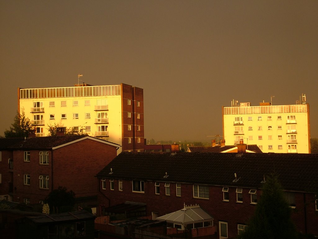 Gold Block