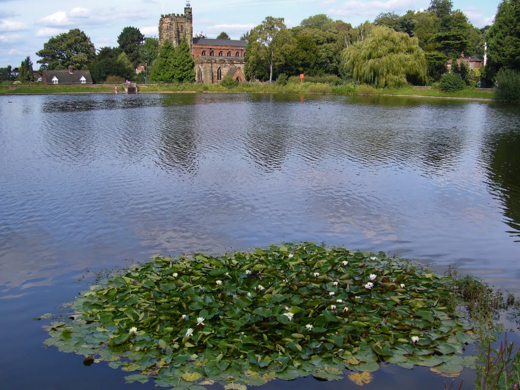 Leachfield