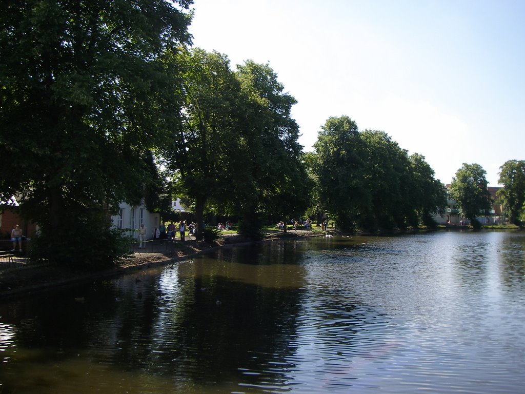 Lichfield water (taken by S.Leeson)