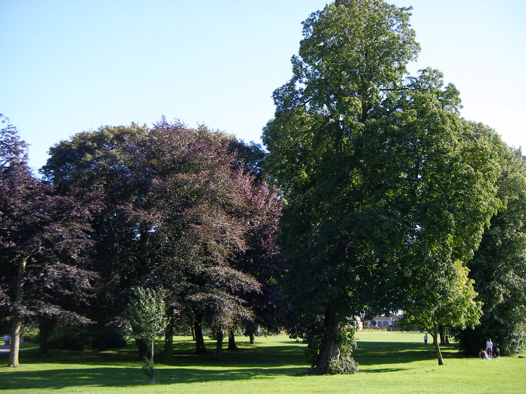 Lichfield park (taken by S.Leeson)