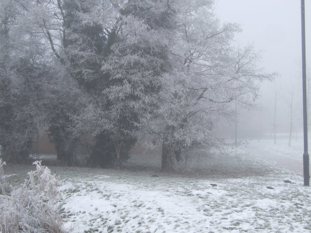 Winters grip 2010