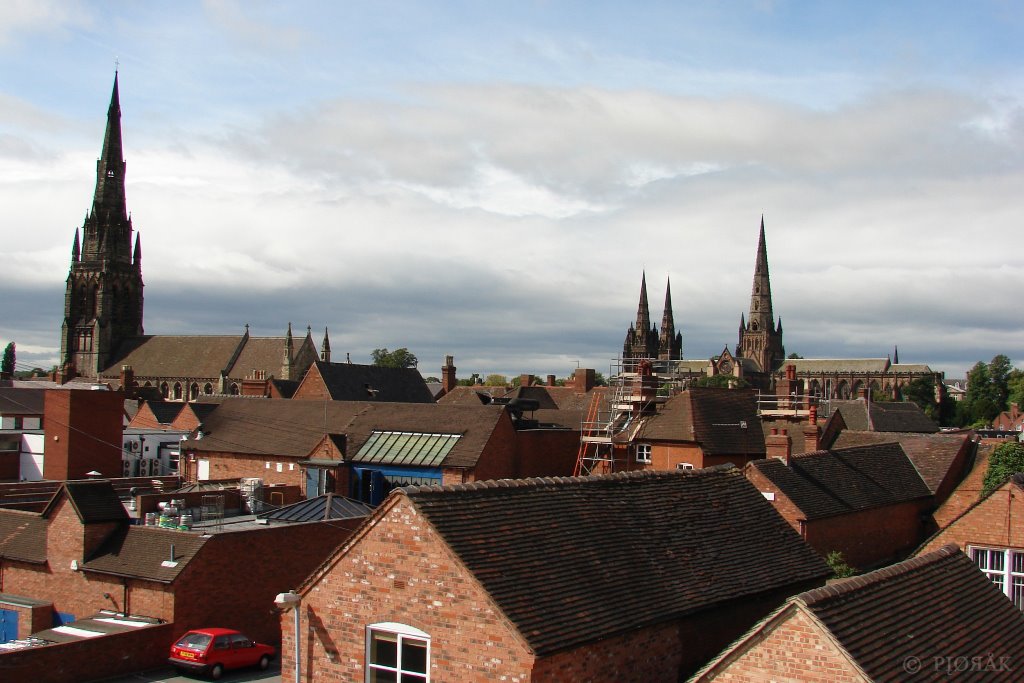 Lichfield panorama
