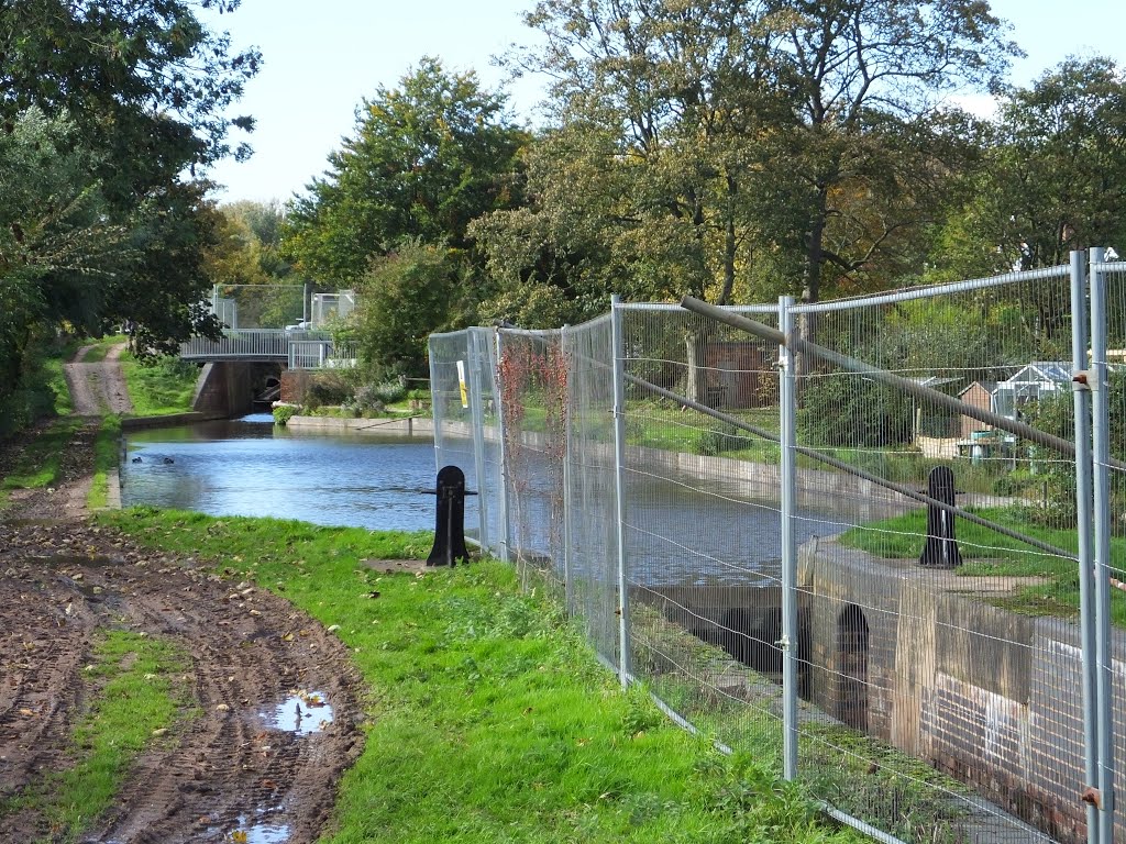 Lichfield and Hatherton Canal Renovation work. First part re-wartered at Borrowcop.
