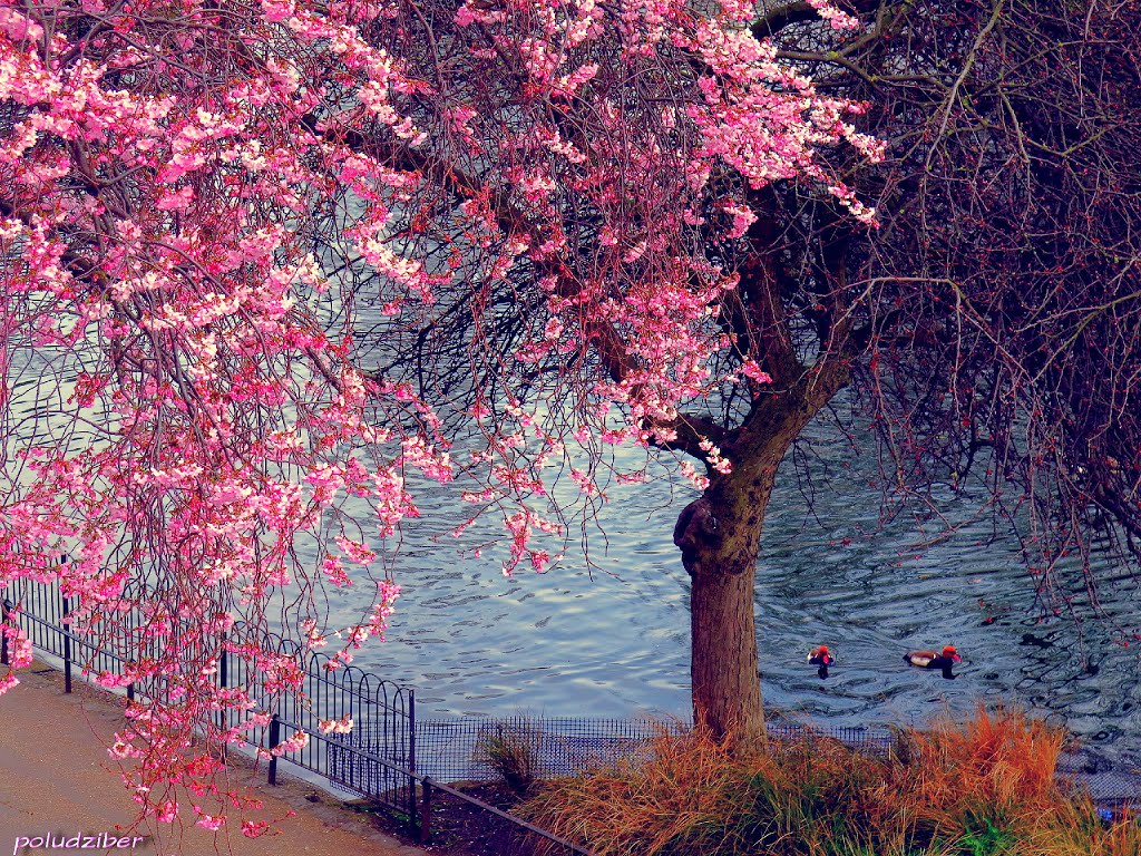 london spring