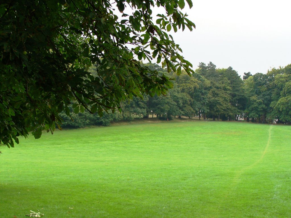 Popes Meadow