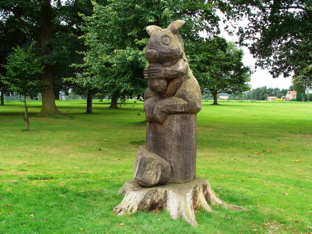 Stockwood Squirrel