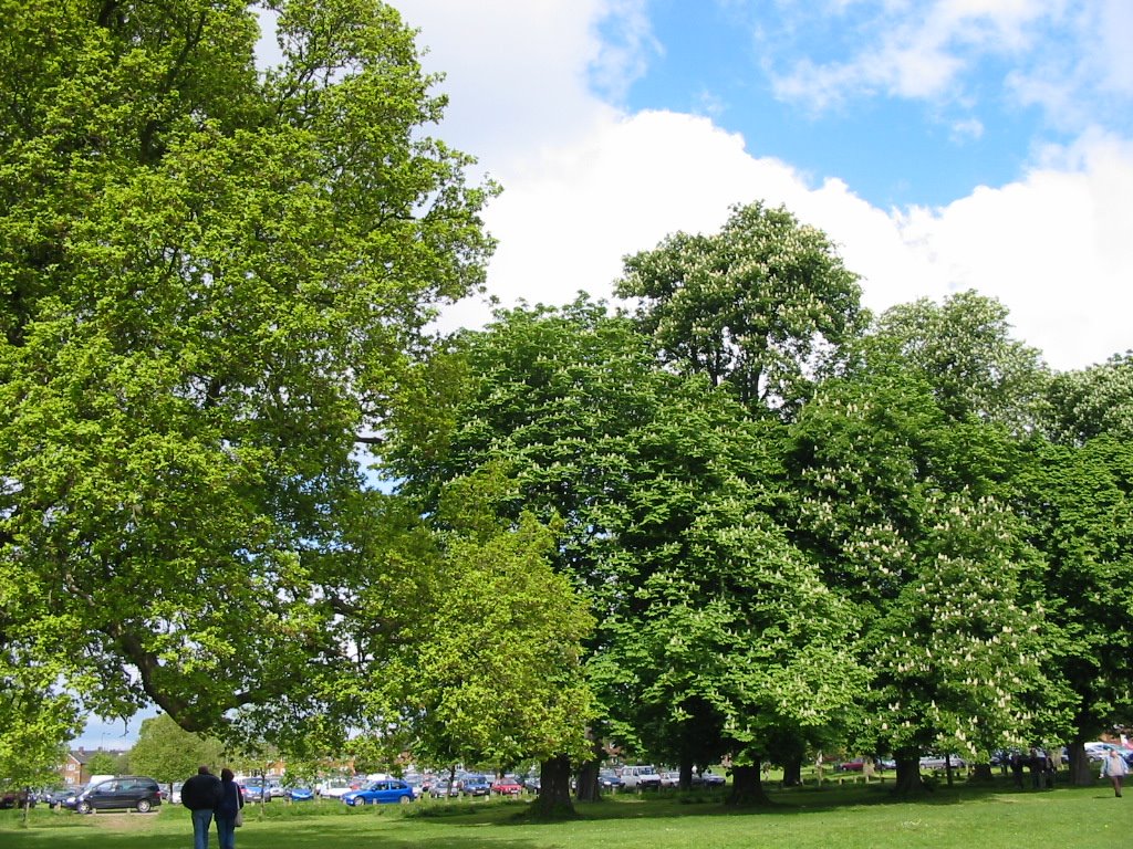 Stockwood Park, May 2005