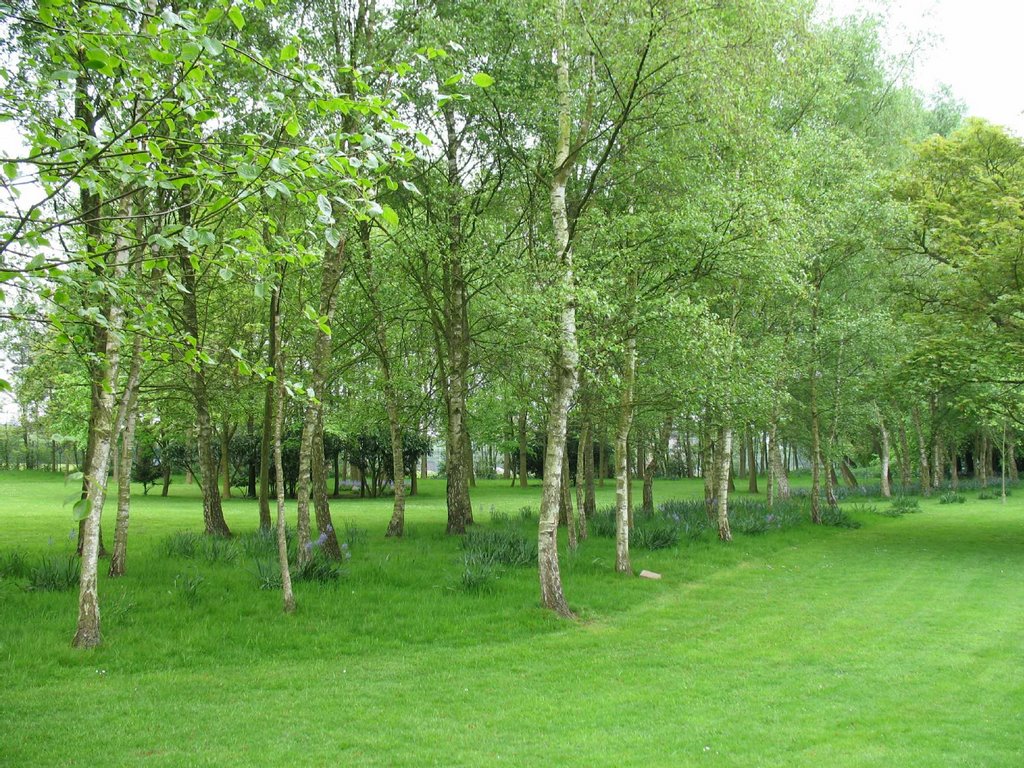 Stockwood Park, May 2006