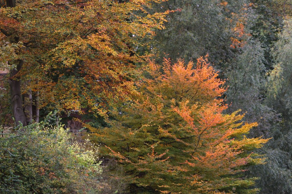 Autumn in wardown Park Luton
