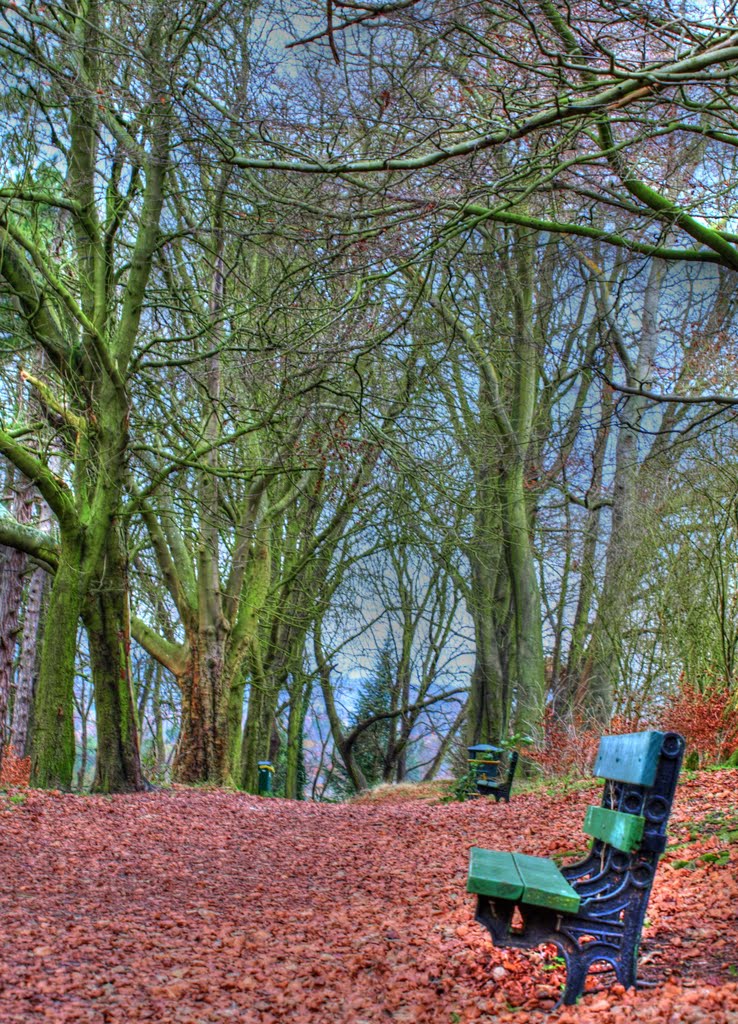 Chloes bench