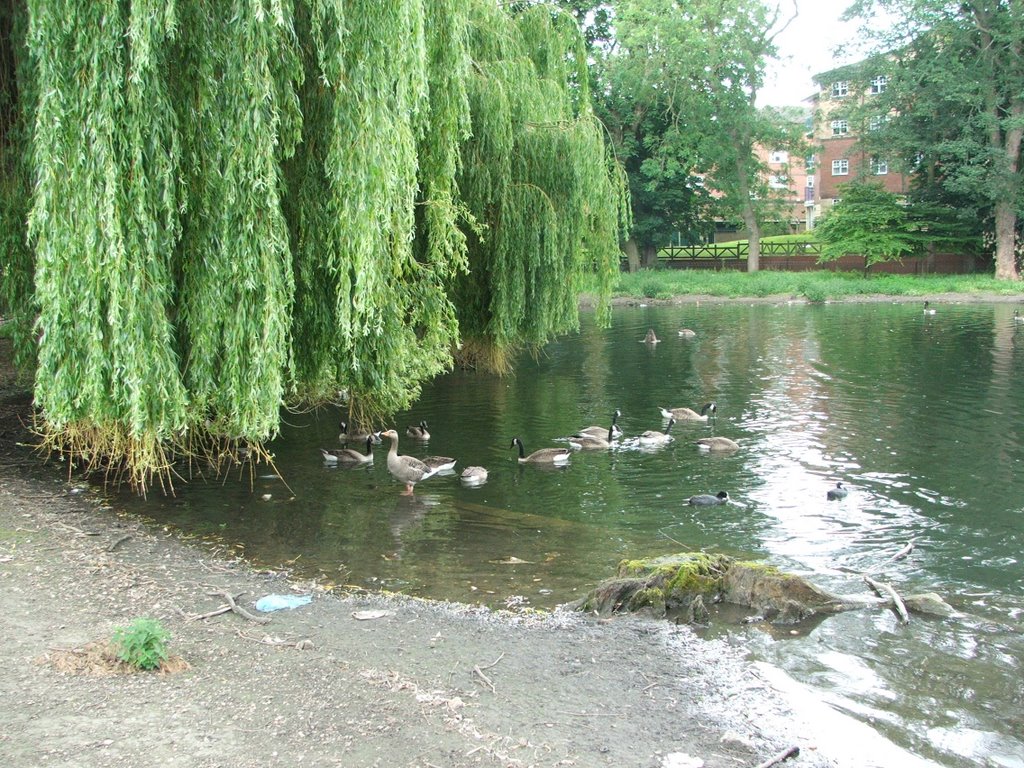 Wardown Park, Luton