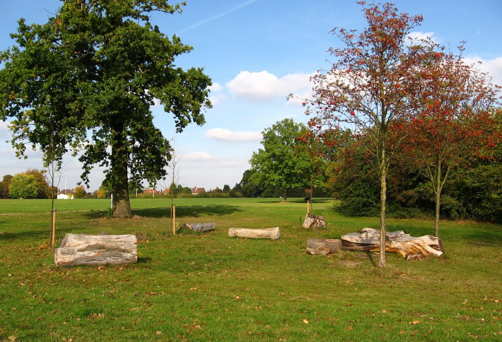 TREE  STOKWOOD PARK LUTON