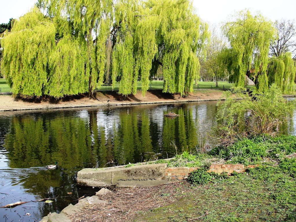 Wardown Park Lake, Luton (1)
