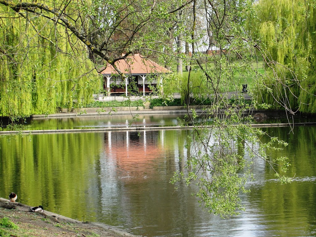 Wardown Park Lake, Luton (3)