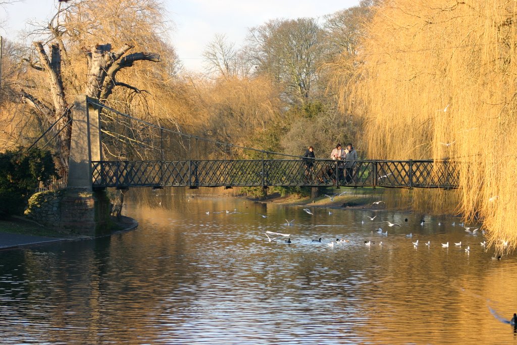 Wardown park at Luton - England - December 2007 by Dimitris Katsaras