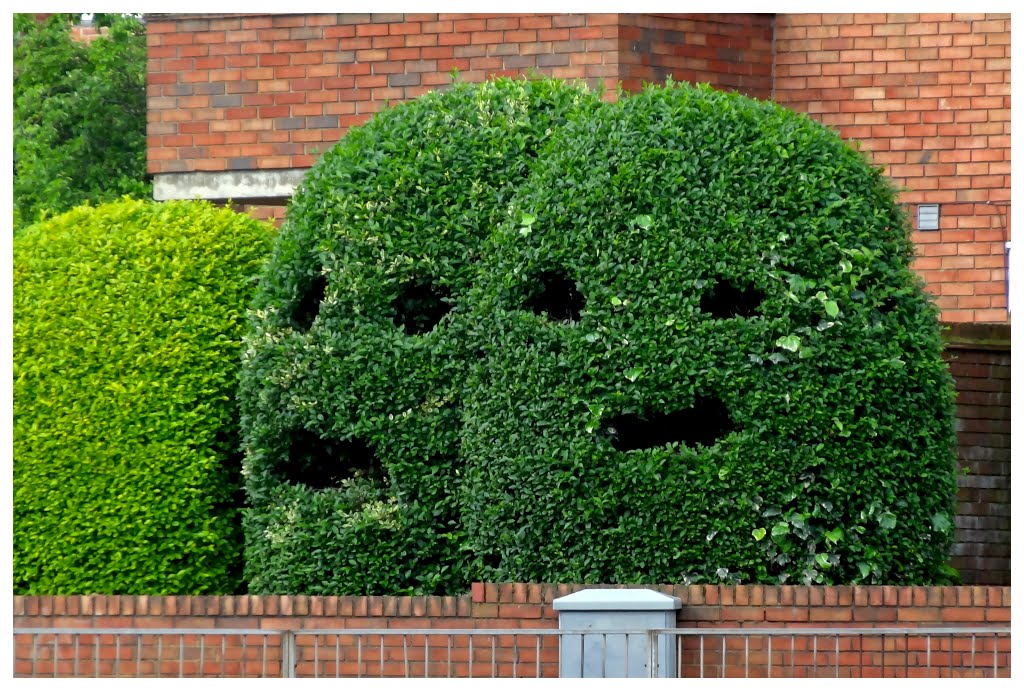 At least the walls have ears ....