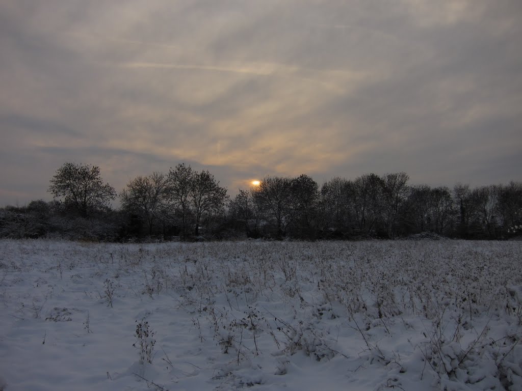 Snow at Christmas, 2010