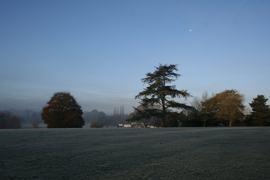 frosty park
