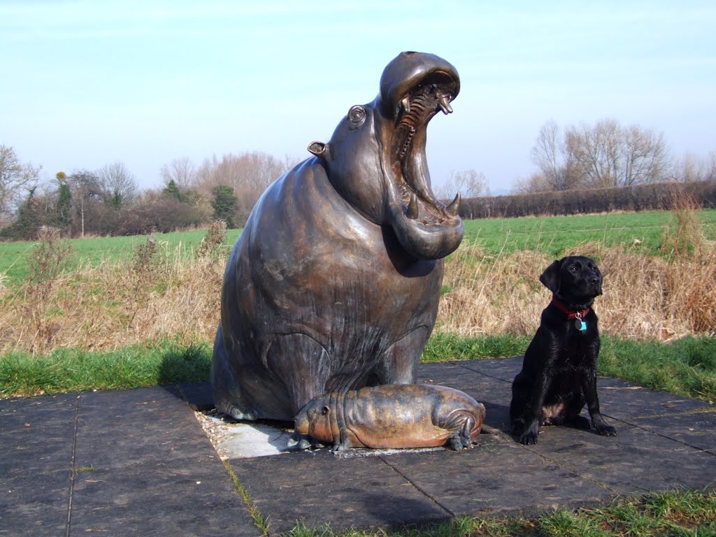 My Dog and a Hippo
