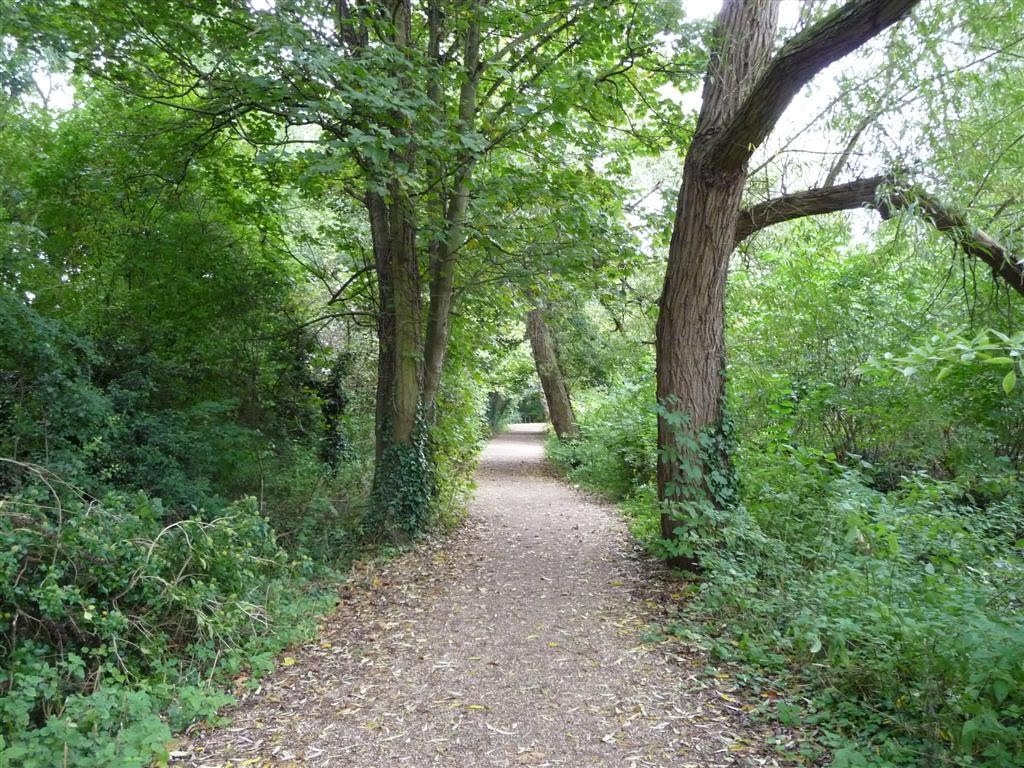 The Green Way
