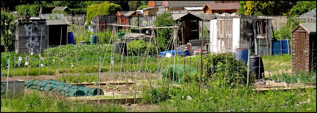 Cookham Road Allotments