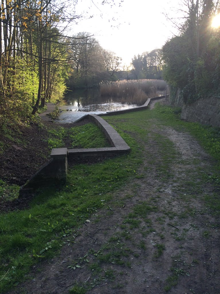 Kings mill