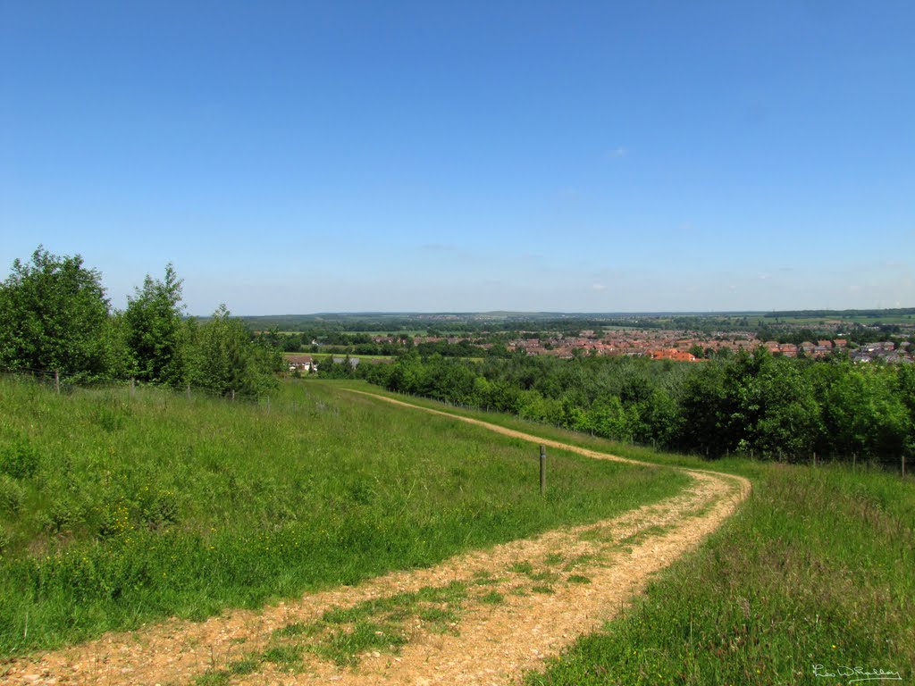 Highest Point of Oxclose Wood