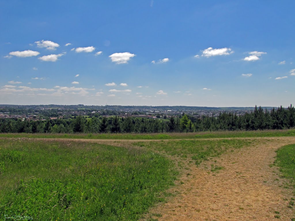 Highest Point of Oxclose Wood