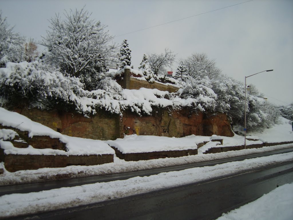 Rock Homes Mansfield