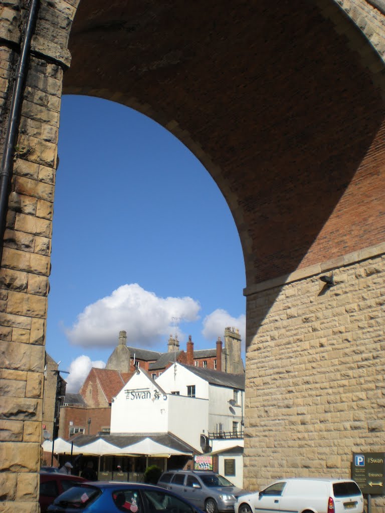 The Swan Through Arches