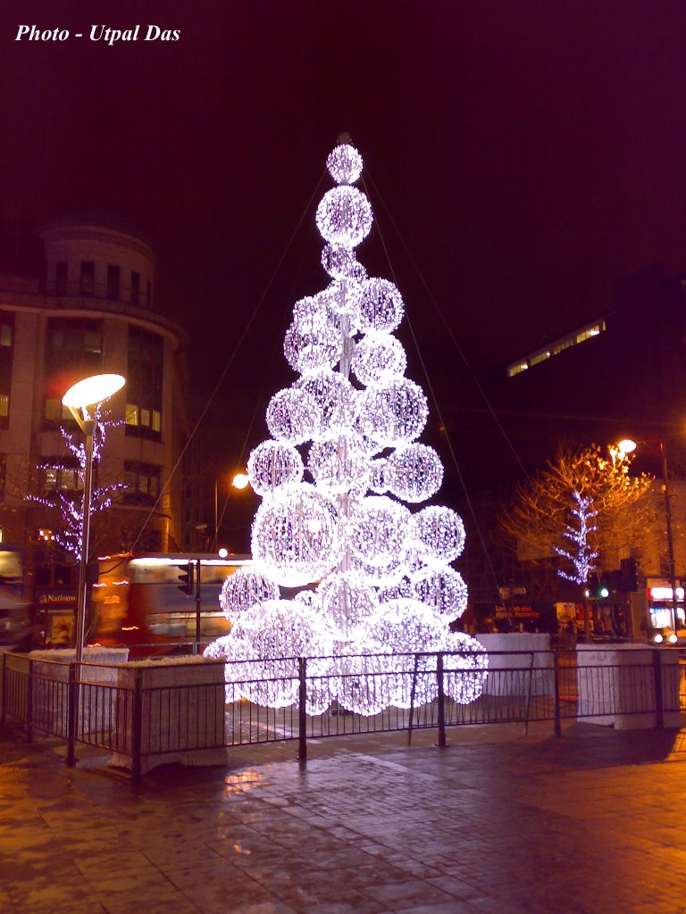 Piccadiliy Garden, Glowing Christmas tree - Manchester