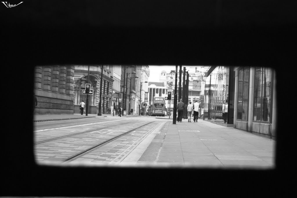 World through the trash can