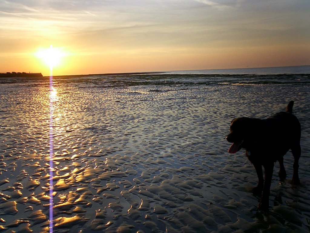 Westbrook beach, Margate