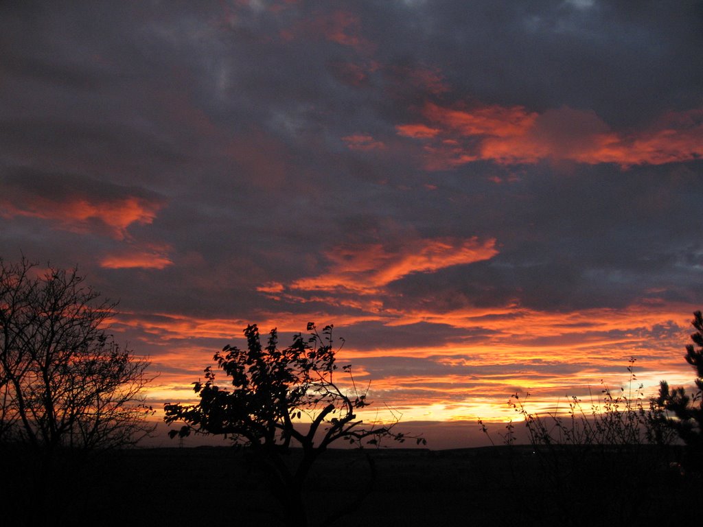 Tingley sunset