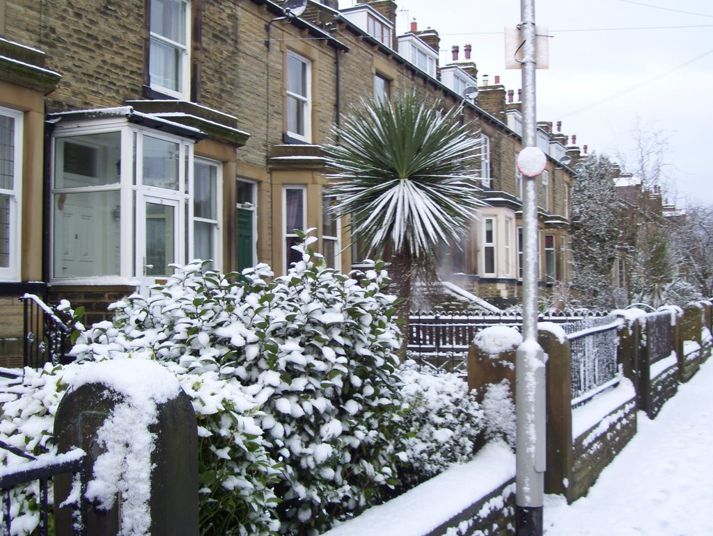 new park street, morley
