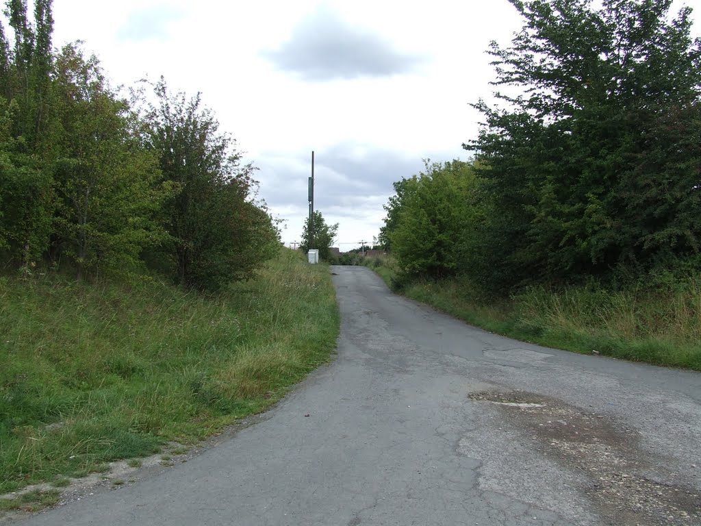 Rooms Lane