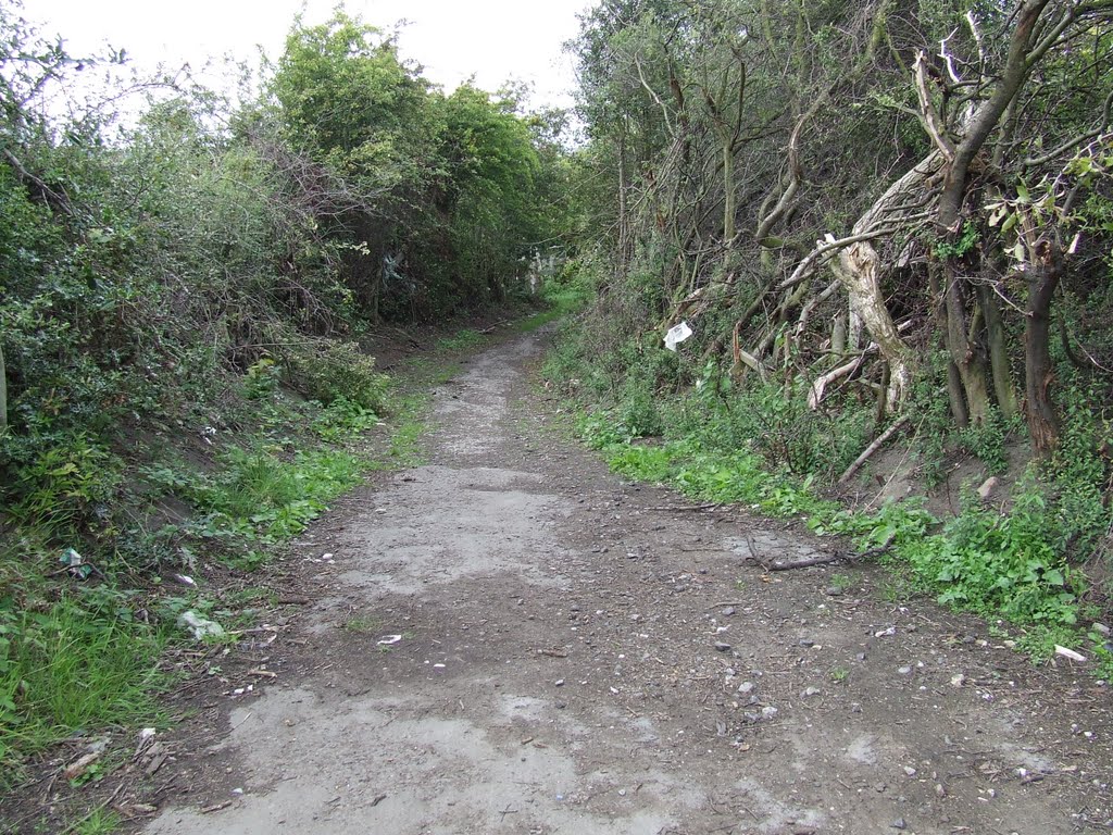 Public Footpath through Hill Top Farm