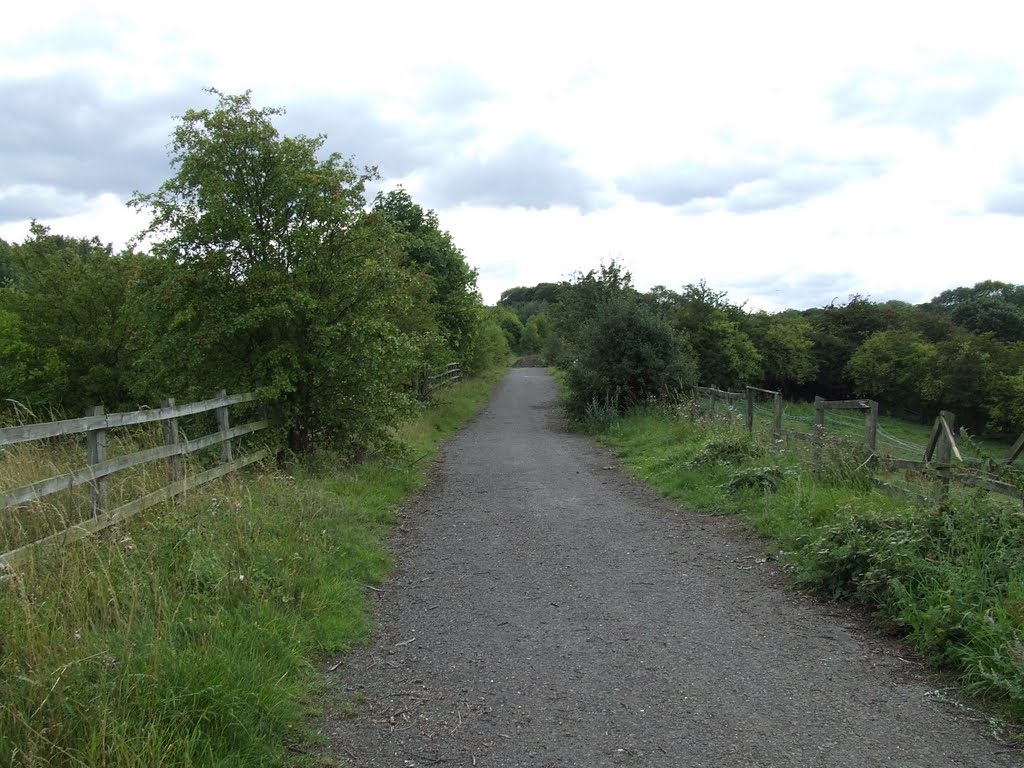Public Footpath to Dean Wood