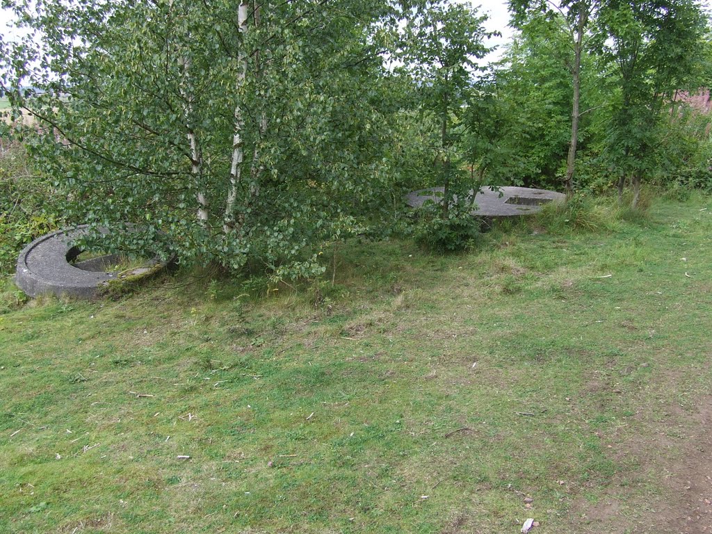 Dean Wood