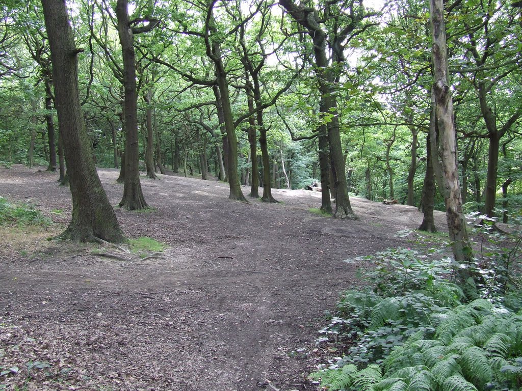 Dean Wood