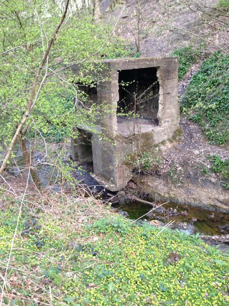 Bunker Dean Wood