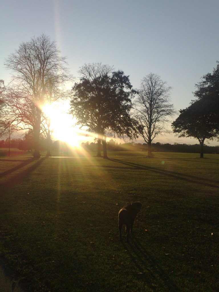 Racecourse